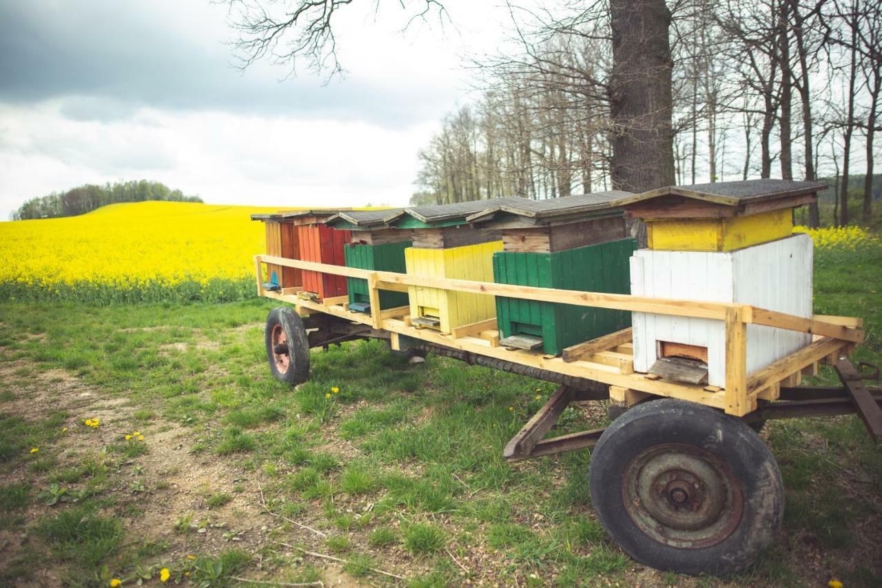 Agroturystyka u Świątków Stara Kamienica Exterior foto